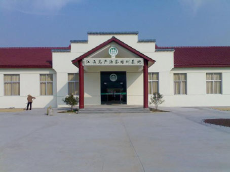 �����߲��Ͳ���ѵ