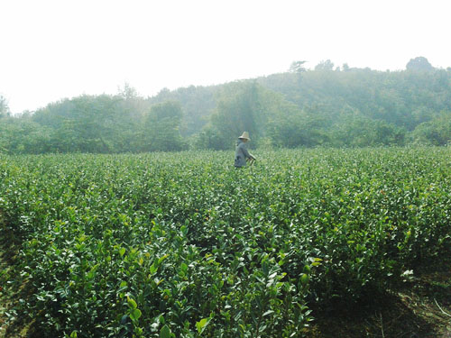 �߲��Ͳ����4