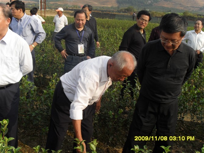 ���п�����鿴