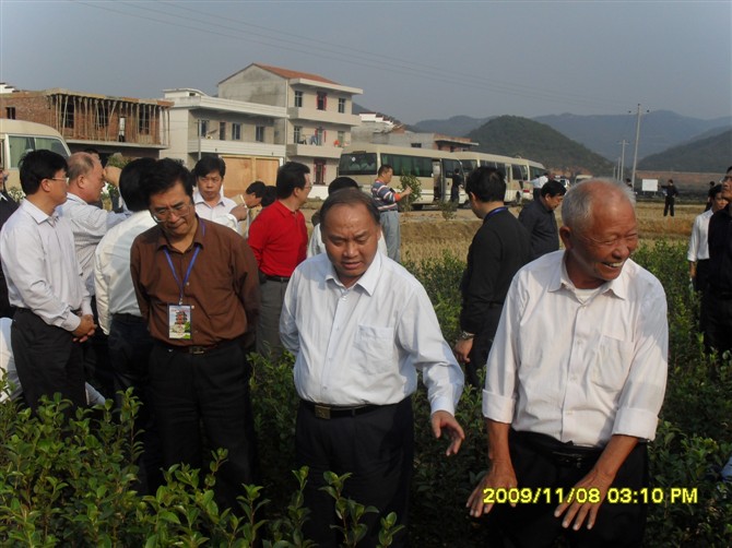 ���ϵĸ��˾�