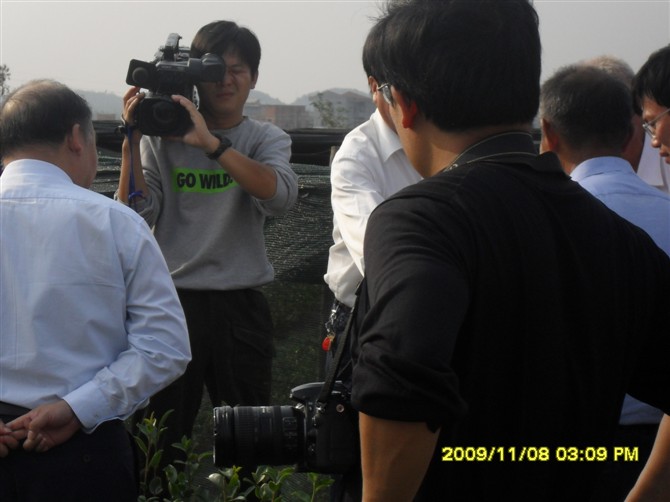 �����ڲɷ�